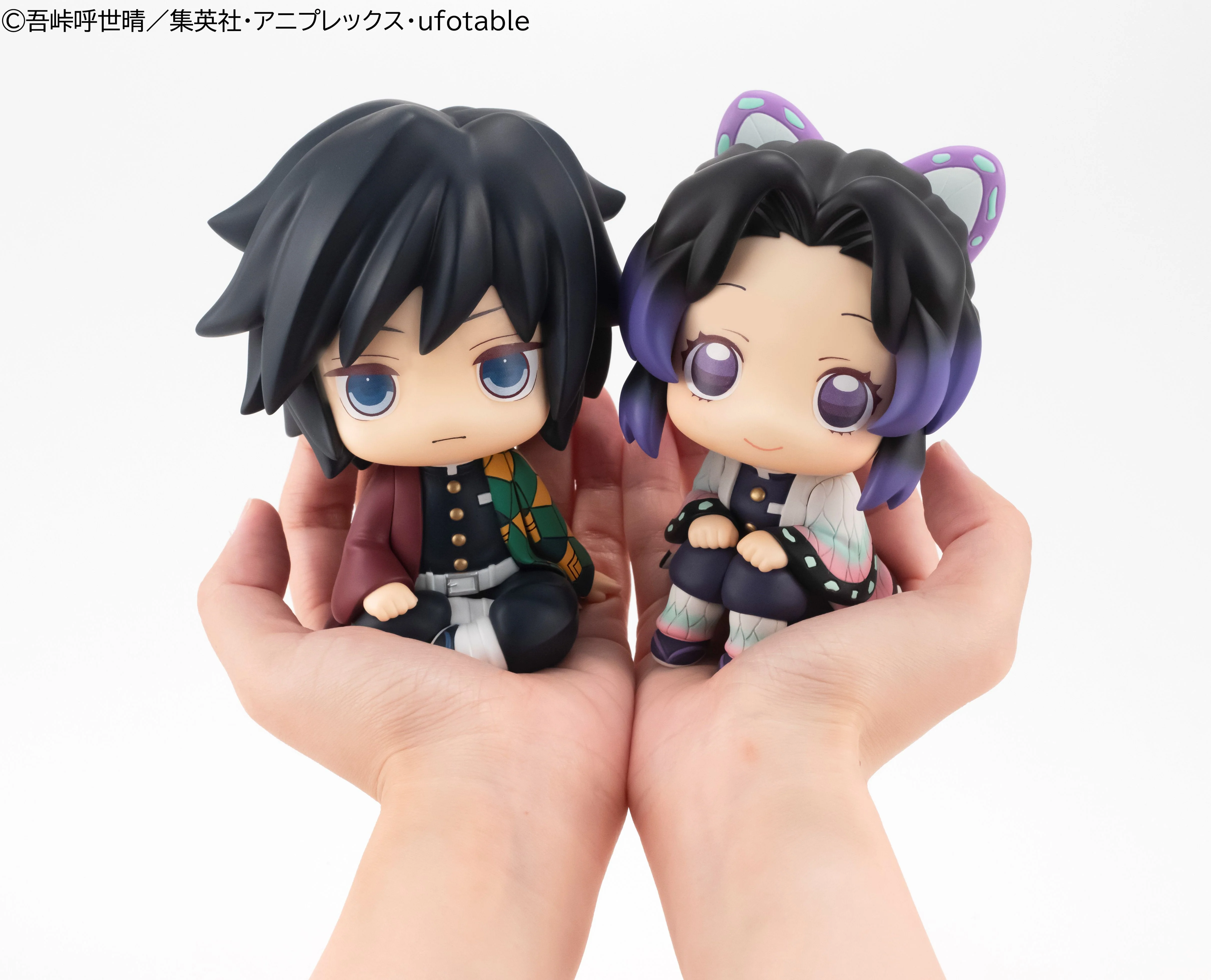 Lookup: Demon Slayer: Kimetsu no Yaiba - Shinobu Kocho (Resale) - Image 8