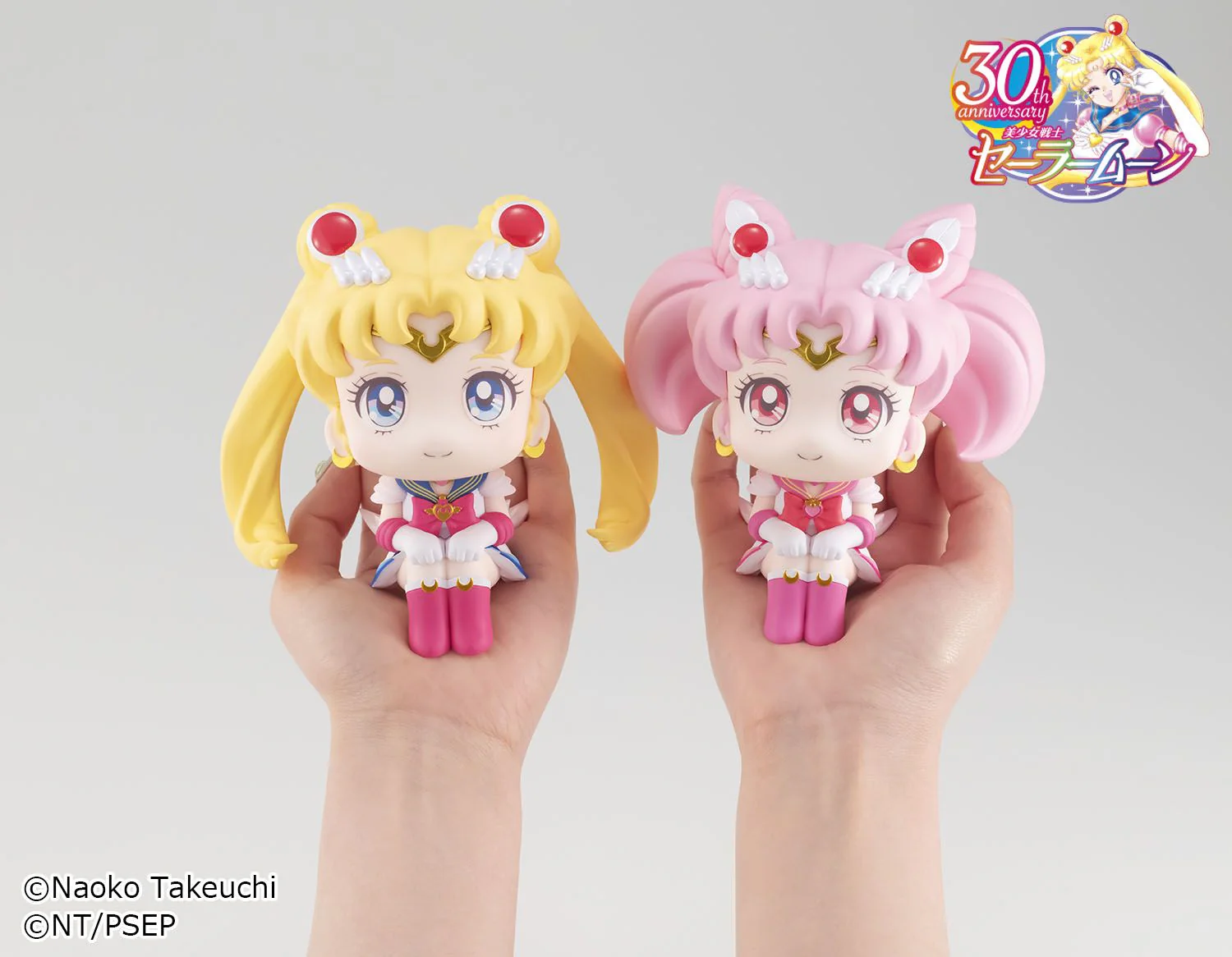 Lookup: Sailor Moon: Super Sailor Chibi Moon - Image 9