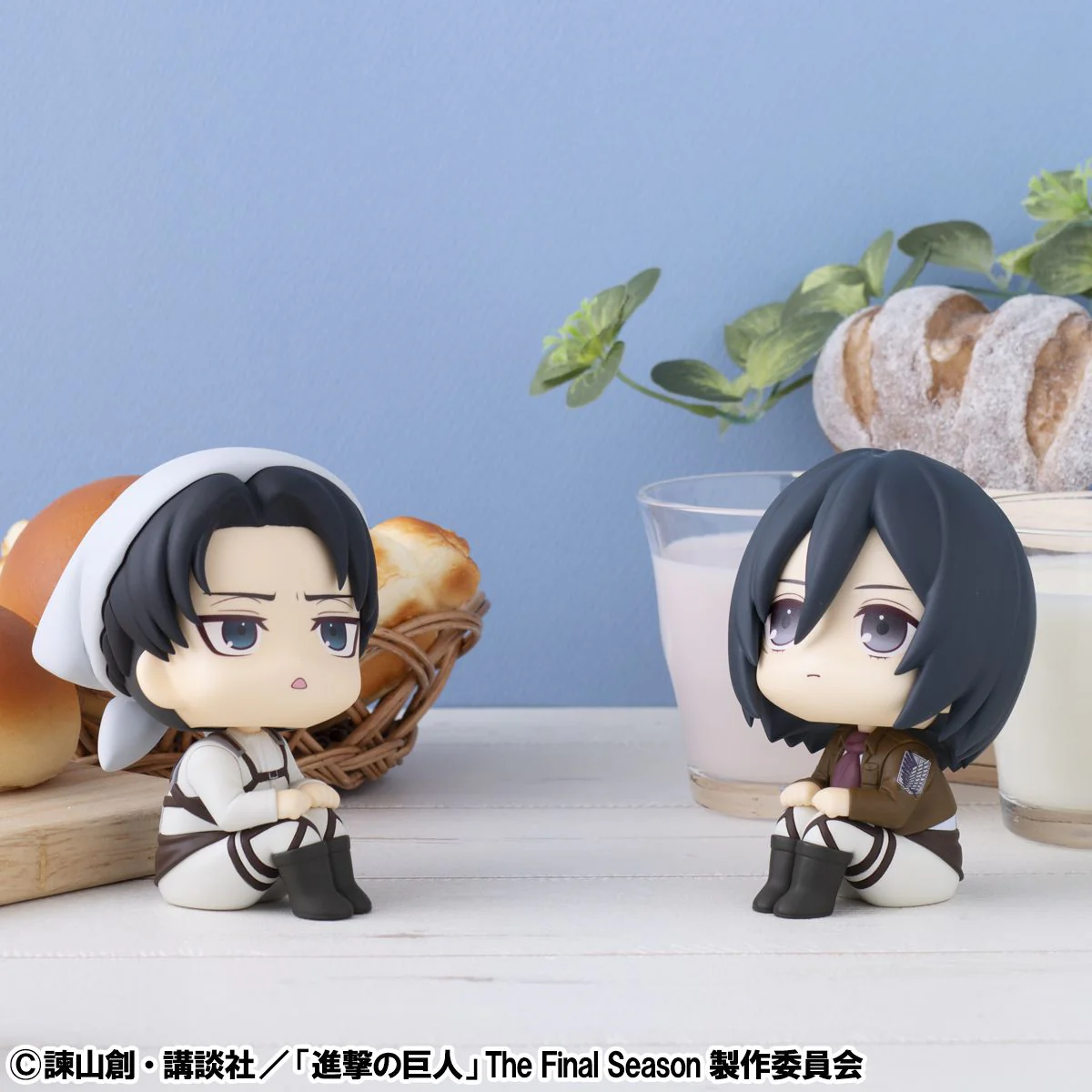 Lookup: Attack on Titan - Mikasa Ackerman - Image 10