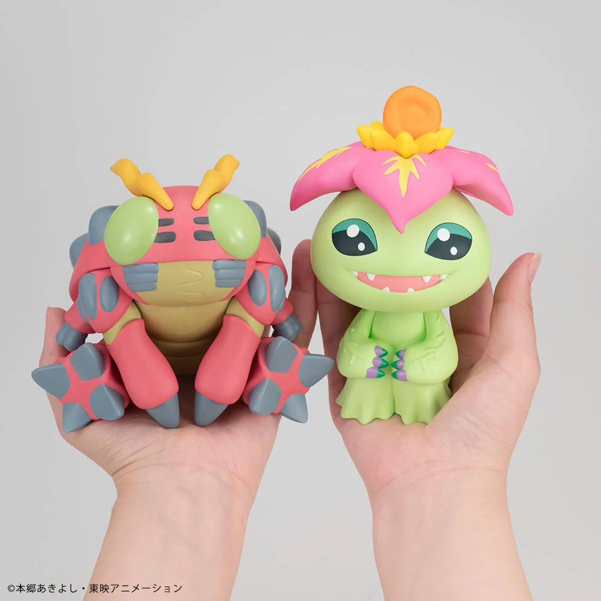 Lookup: Digimon Adventure - Tentomon - Image 6