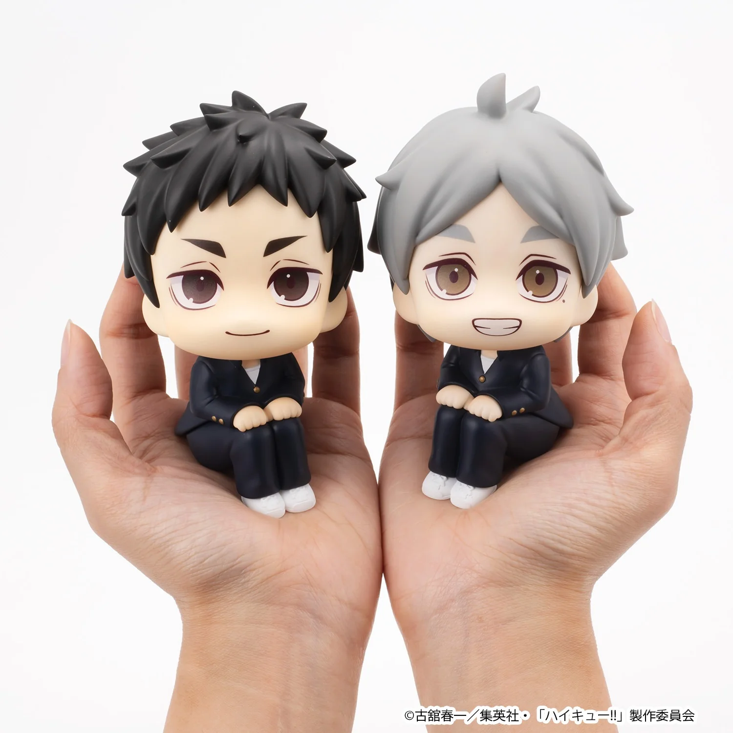 Lookup: Haikyu!! - Koshi Sugawara - Image 10