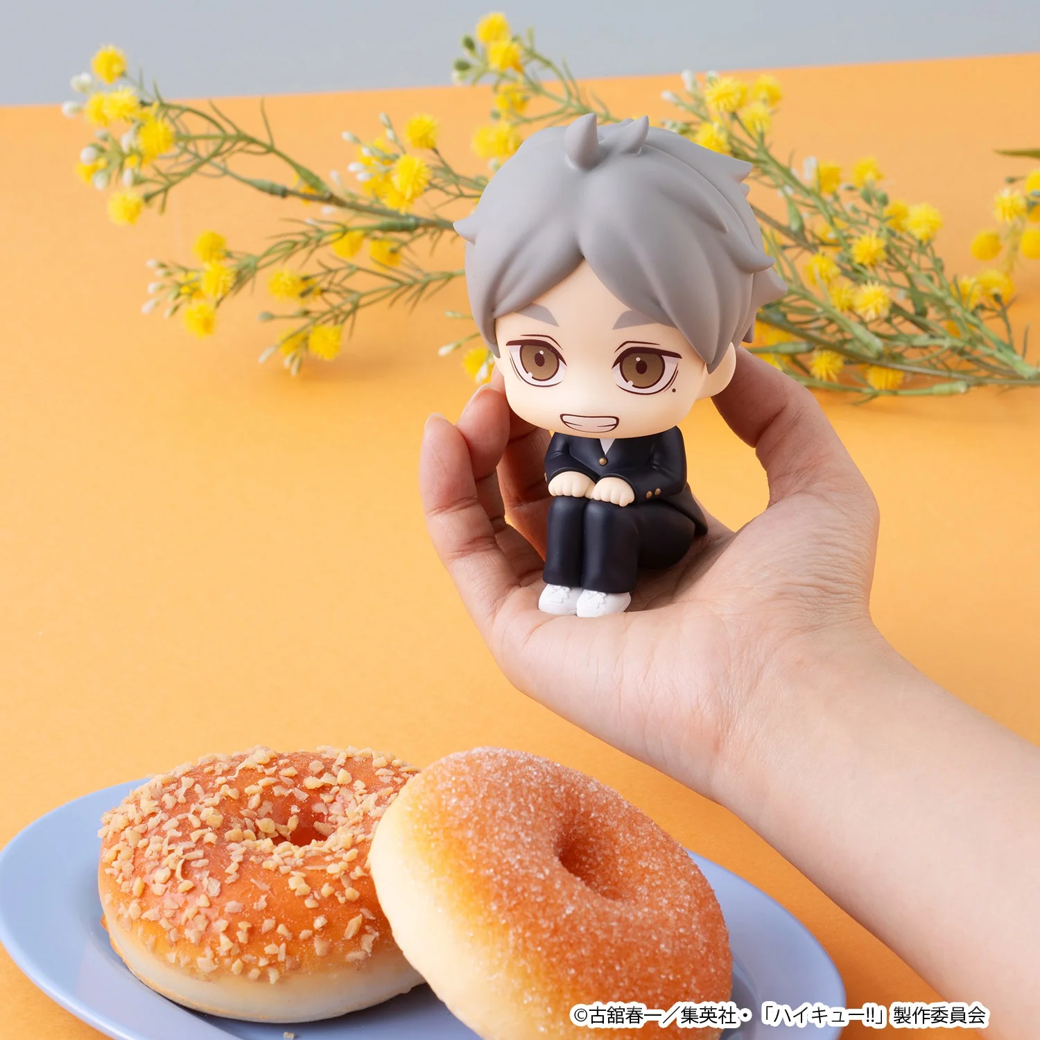 Lookup: Haikyu!! - Koshi Sugawara - Image 7