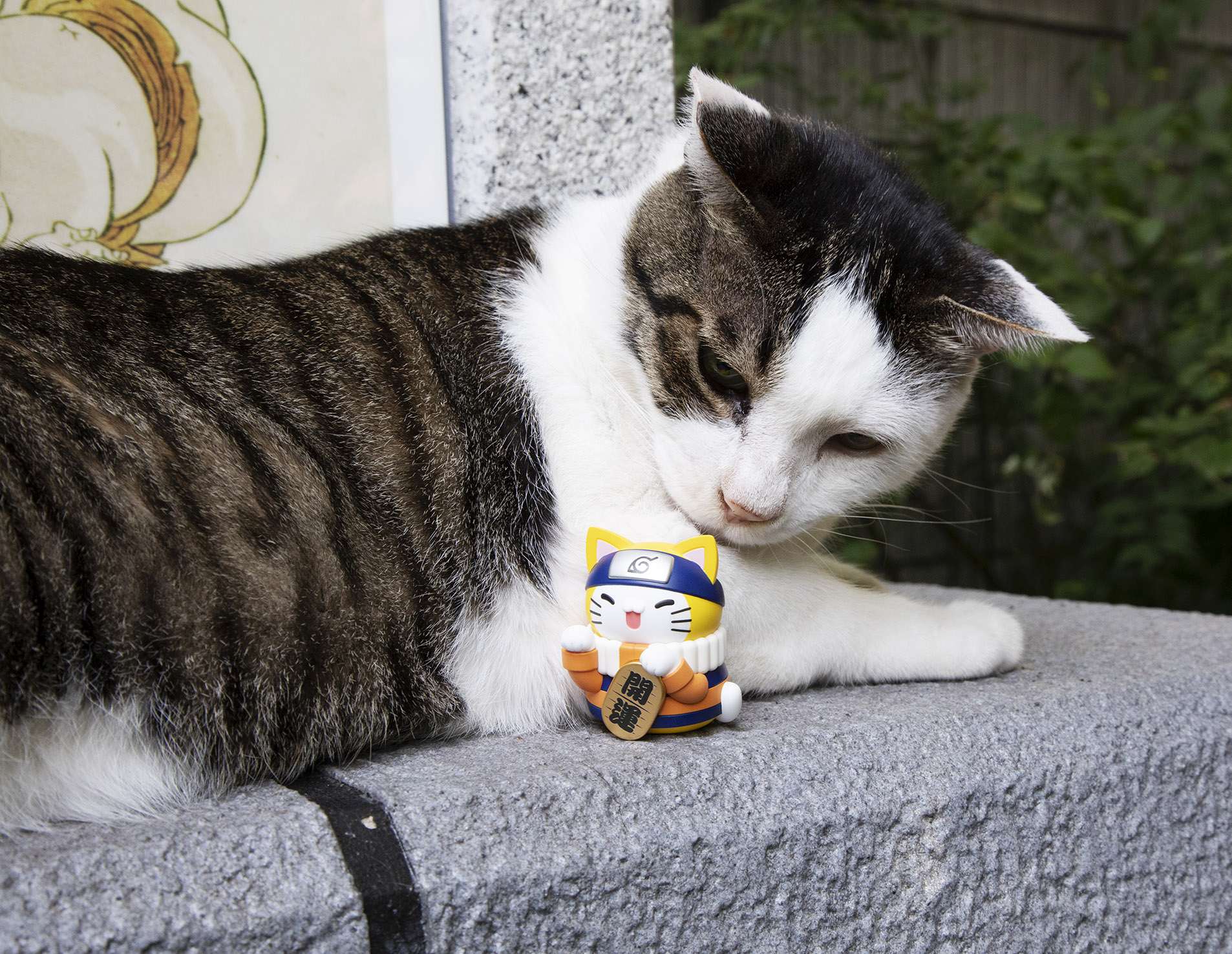 MEGA CAT PROJECT NARUTO: Nyaruto! Maneki-neko Fortune - Image 22