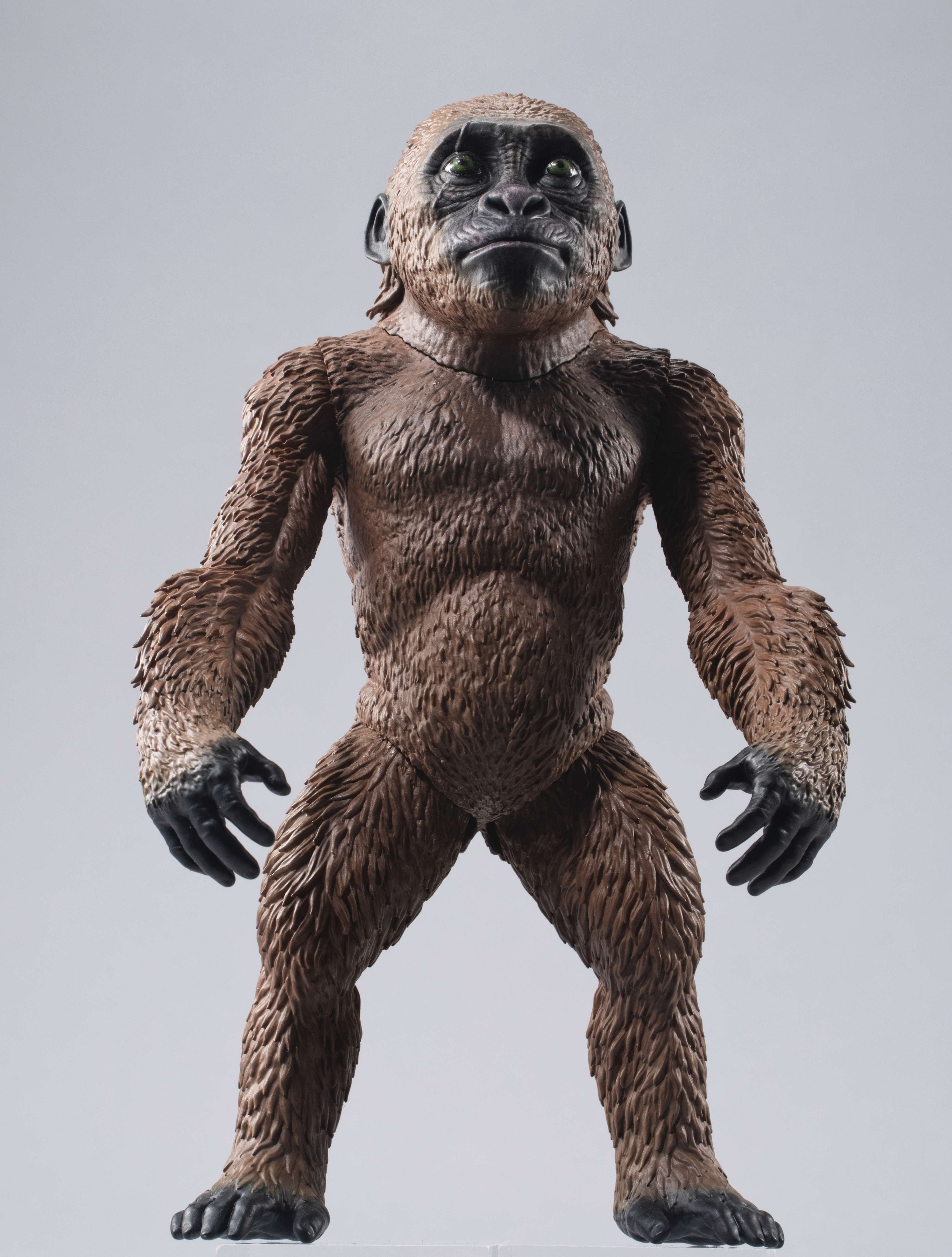Ultimate Article Monsters: KONG (2024) with SUKO From GODZILLAxKONG The New Empire - Image 6